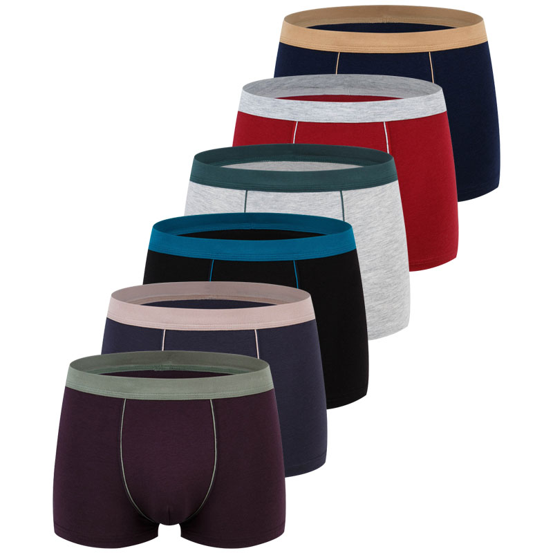 대형 원활한 속옷 남자 솔리드 코튼 복서 반바지 남자  - Multi Pack Underwear 리뷰 및 가격